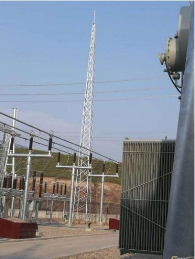 成人蜜桃视频在线看