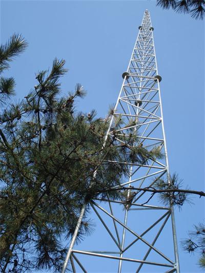 河北三角圓鋼成人蜜桃视频在线看廠家