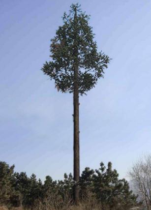 邢台仿生樹成人蜜桃视频在线看生產廠家