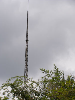成人蜜桃视频在线看施工步驟