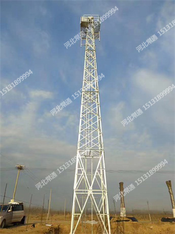 森林水蜜桃视频免费有哪些施工注意事項？