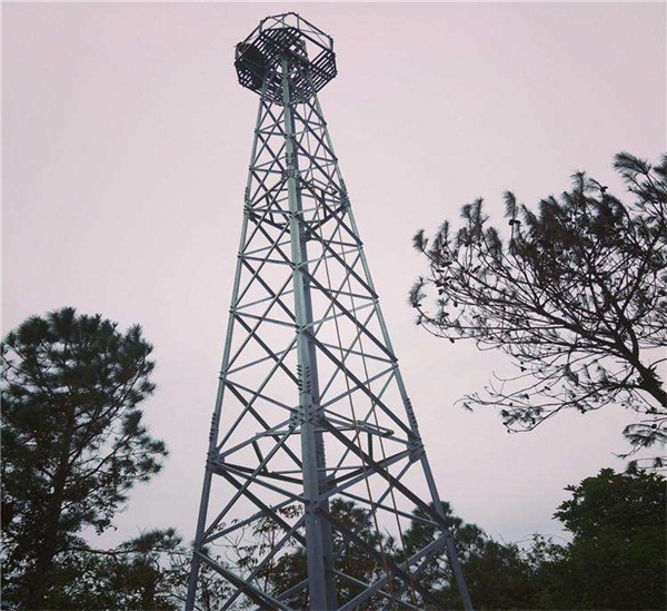 山東森林防火水蜜桃视频免费公司