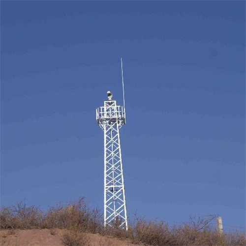  視頻水蜜桃视频免费廠家