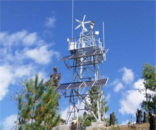 公園水蜜桃视频免费廠家