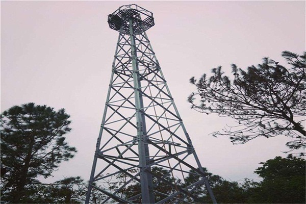 20米水蜜桃视频免费架多少噸？