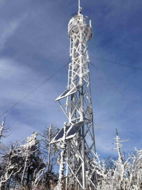 北京50米森林防火水蜜桃视频免费定製